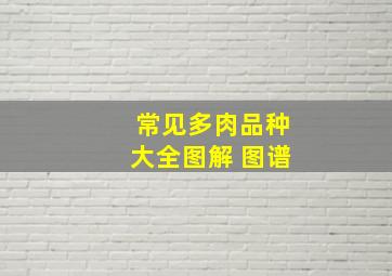 常见多肉品种大全图解 图谱